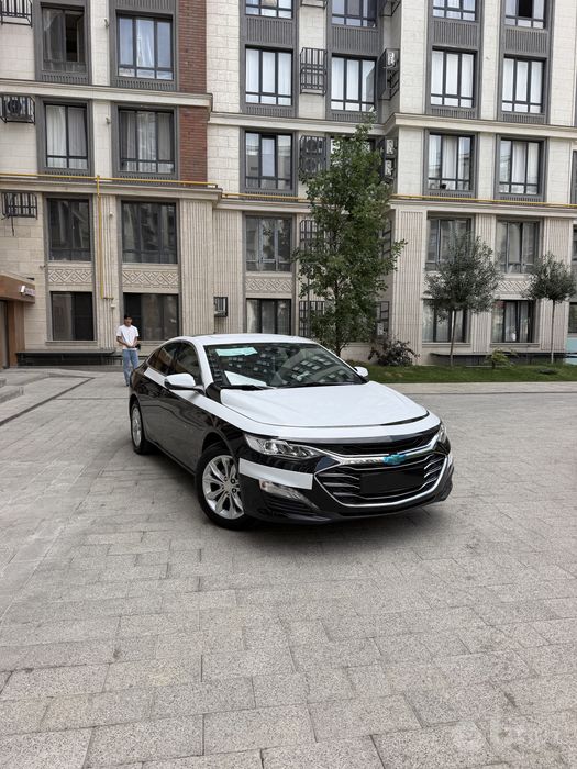 Malibu 2 premier 2022 bir qol bez prabeg