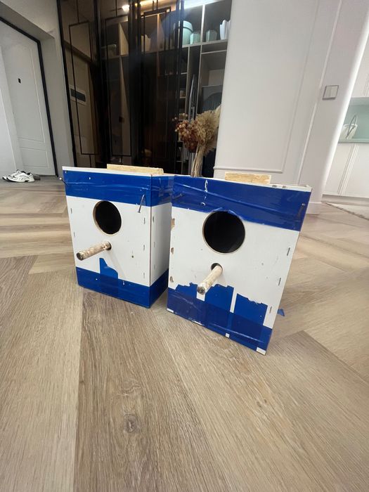 Попугаи неразлучники