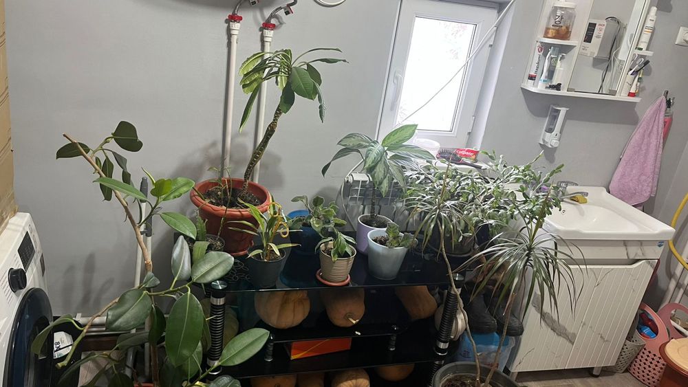 Цветы с потставкой