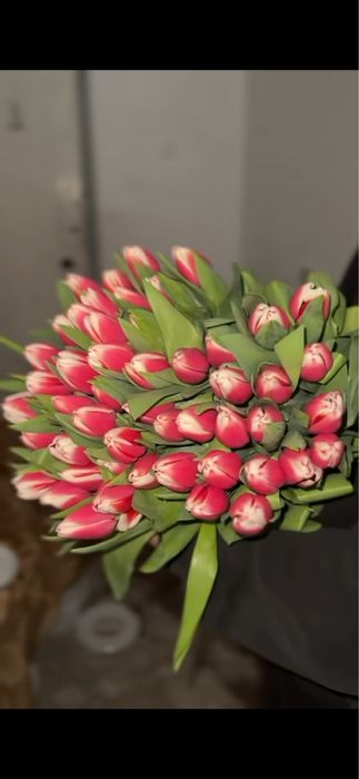 Тюльпаны оптом розницу