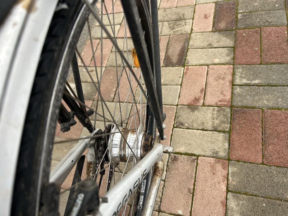 Bicicleta de oras Pegasus 7005!