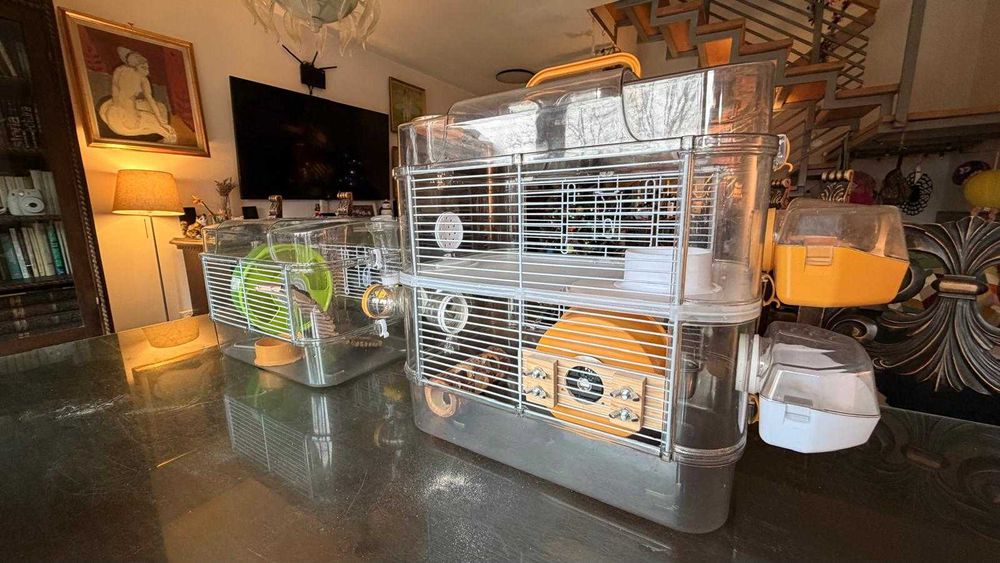 Ansamblu cuști hamster ZOLUX Rody 3 + accesorii + cadouri