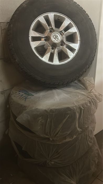 Продам щина Очень хорошее состояние