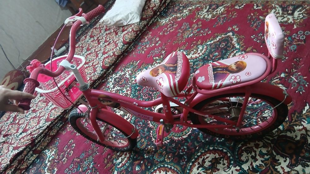 Velesipet sotladi holati zoʻr