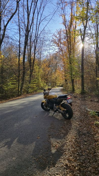 Honda Hornet PC41
