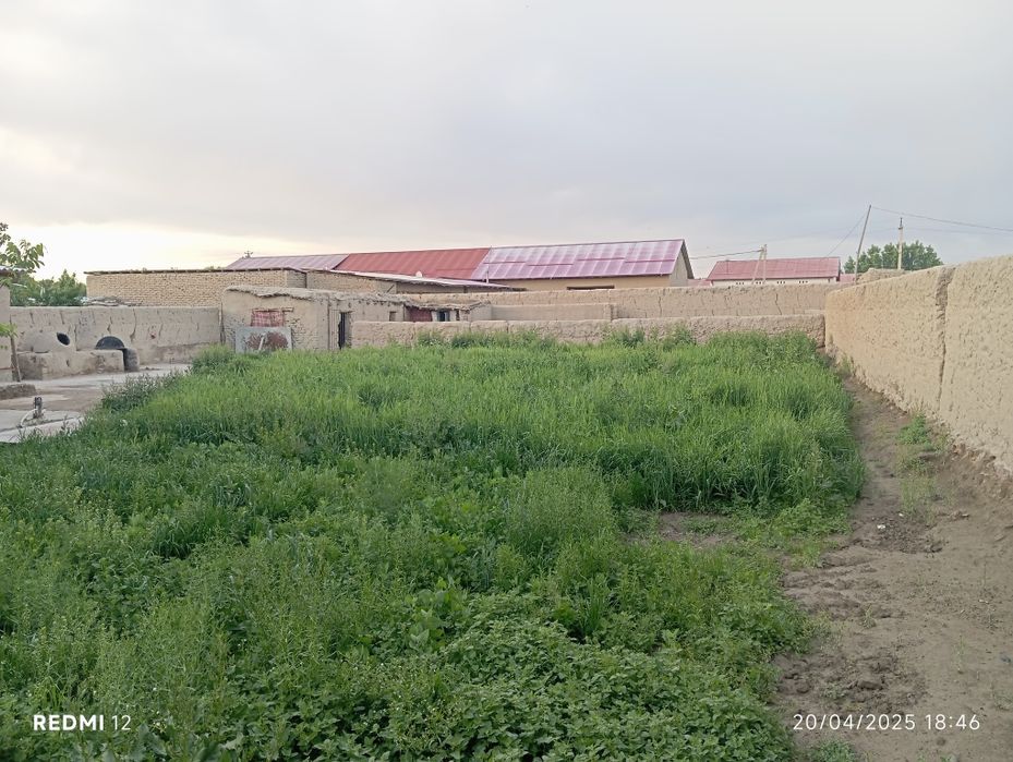 20 мага 60 12 сотиҳли ҳовли ҳамма ҳужатлари бор