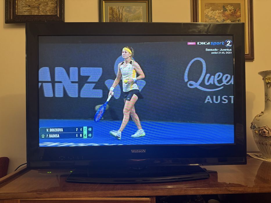 Televizor Watson LCR32HD (diagonala 81cm)