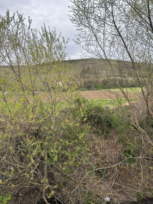 Vand teren extravilan in Pestisu mare