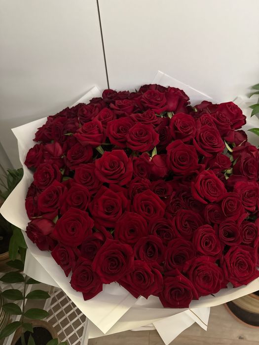 Букет из красных роз 101 роза