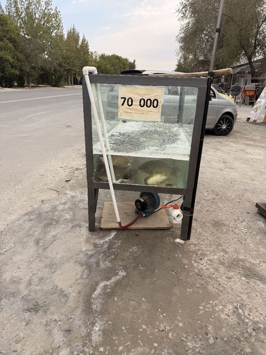 Акварум сотилади