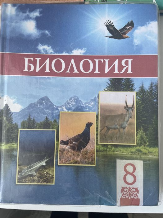 Цена договорная