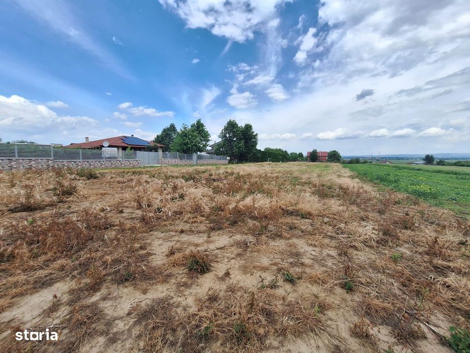 Loturi 500-1800mp Varianta Margineni-Hemeius