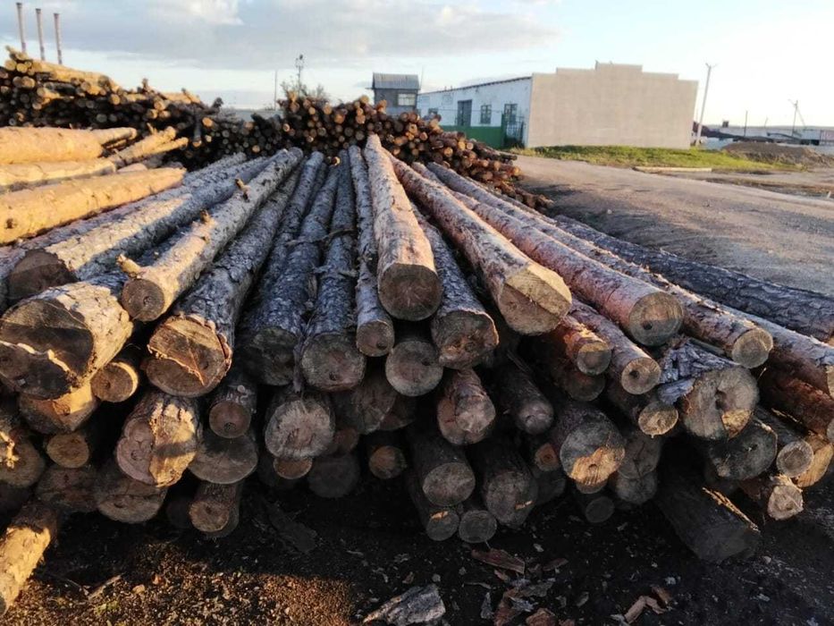 Деревянные опоры для ЛЭП и пиломатериалы