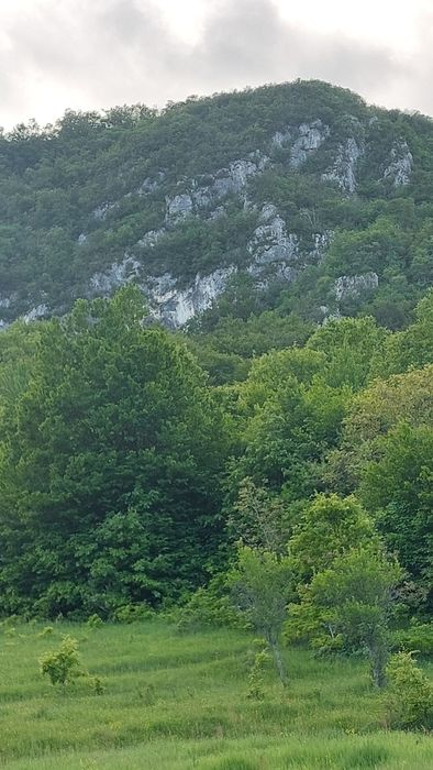 Vând miere de albine naturala