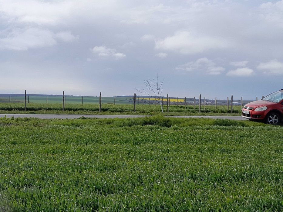 Продавам парцел преди с. Яребична 4дек с разрешително за строеж