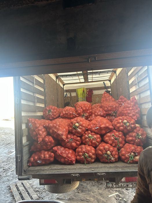 Картошка местная