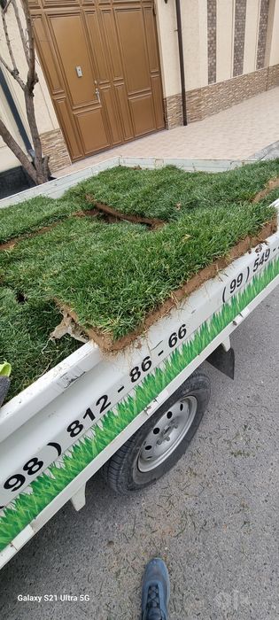 газон, ландшафт, палифный система ва арчаларга хар хил формалар бериш