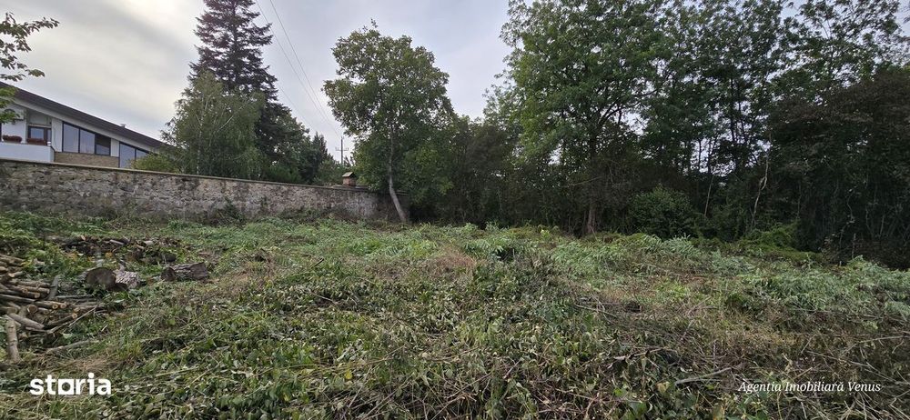 Teren cu suprafata de 1500mp mai sus de Casa Lux