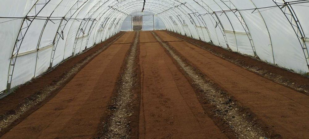 Продавам разсад за Пипер,Домати,Краставици