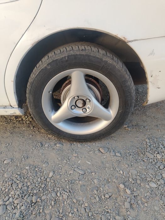 Дайво леганзе на разбор