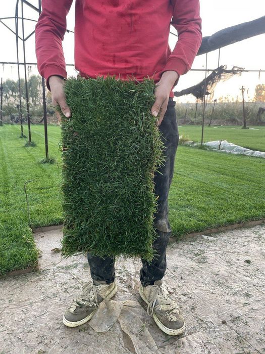 Ландшат ишлари бошланди