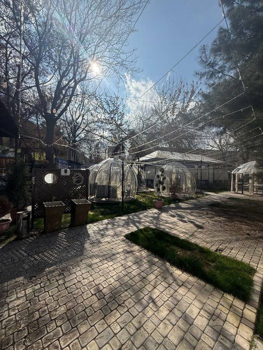 Срочно Аренда Кафе Чилонзорда 25 соток Отдельно Стоящее