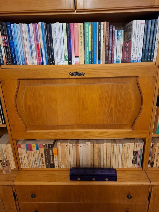 Biblioteca (fara carti)