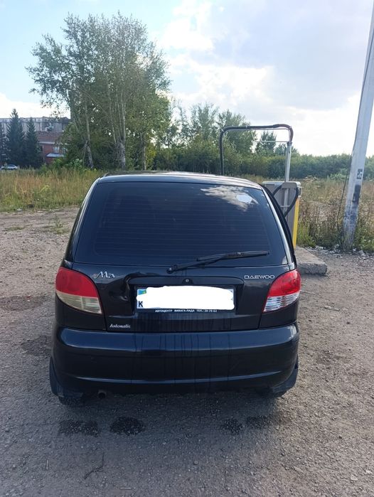 Продам живой матиз