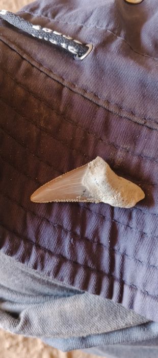 qadimiy topilma qum orasidan chiqdi