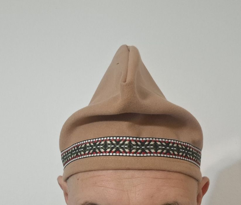 Fesuri istorice de dac