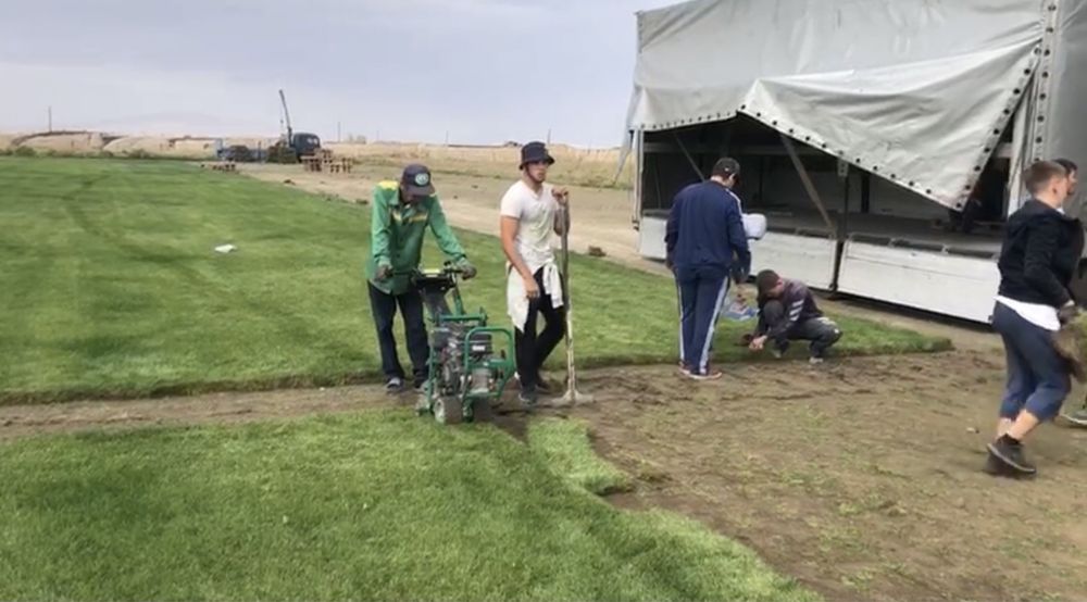 Дерн/Газон спортивный