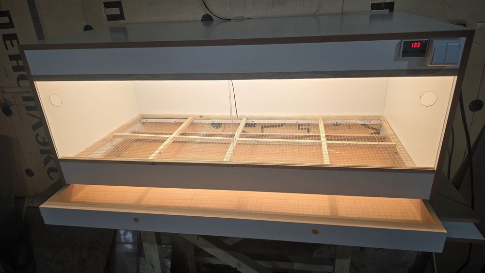 Брудер для цыплят