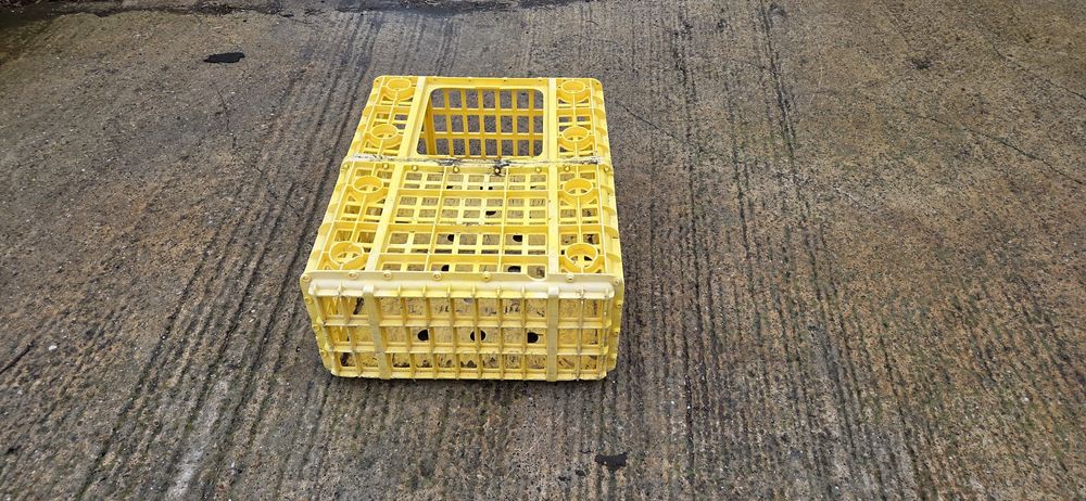 Cusca transport păsări, gaini ,pui.