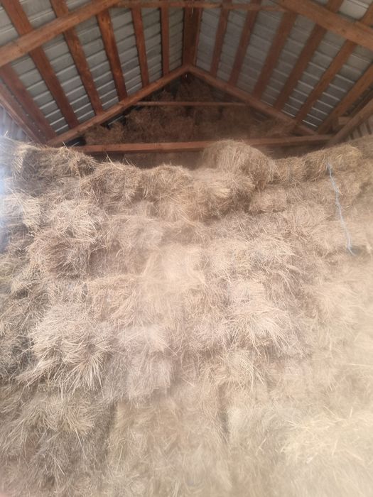 Baloti pătrați de fan