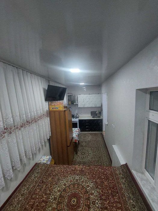 Беруний професорский   3/3/4   чистый срочно