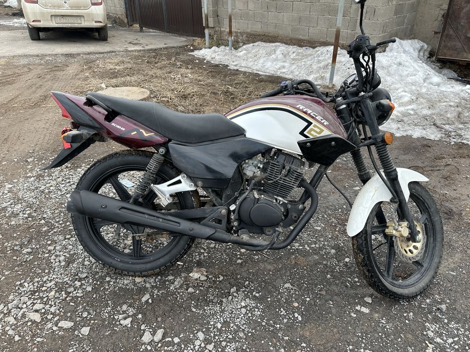 Пролам реисен тигр