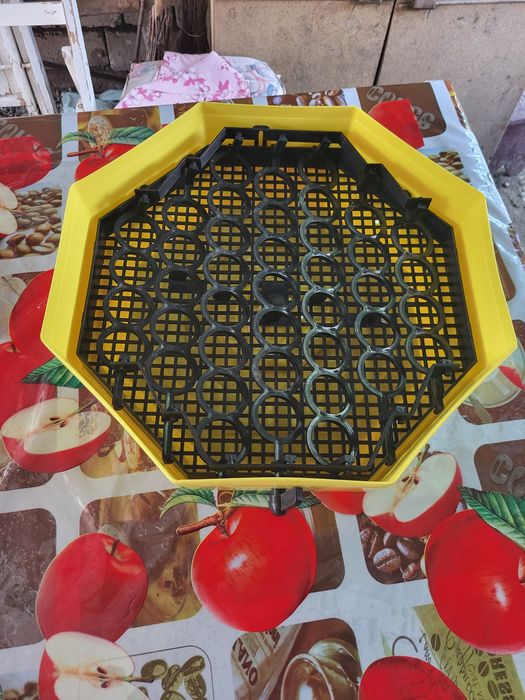 Incubator pentru pui