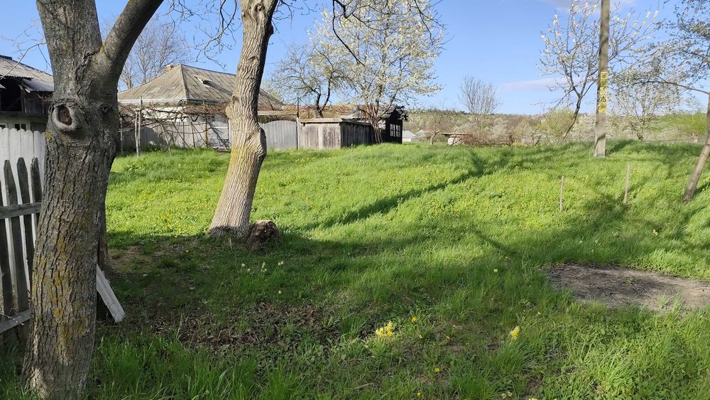 Teren intravilan in Crăcăoani, judetul Neamț