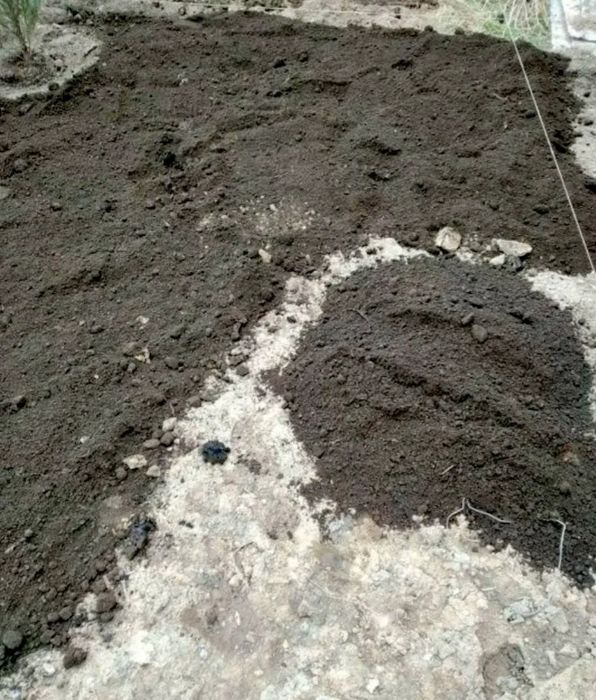 Кара топрак (чернозем)