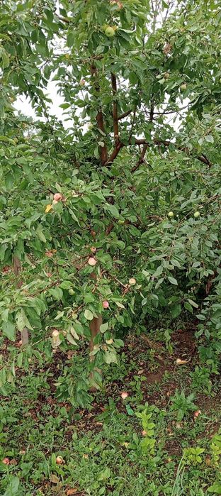 Продам дачу саздинское водохранилище