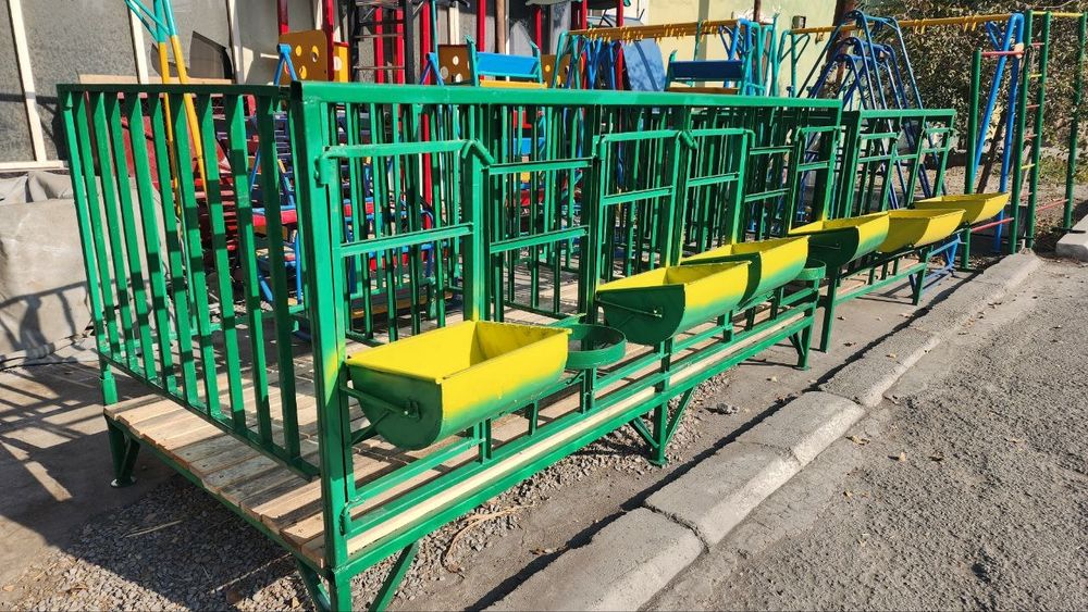 Qo'y qora | Qo'y Katak