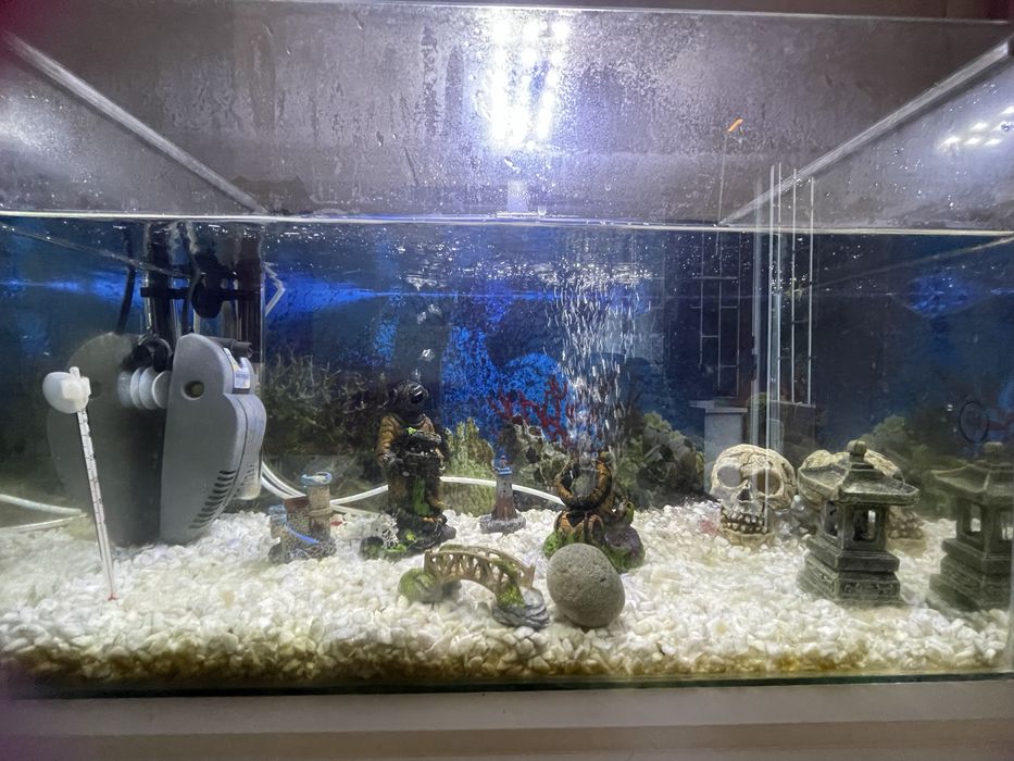 Аквариум 53/28/34см с пълен набор аксесоари