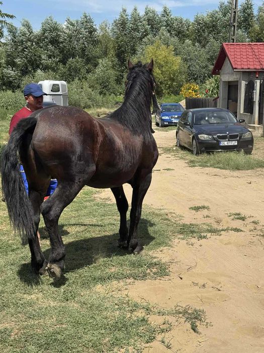 Vand sau schimb cu atv de 500 cc sau tractor