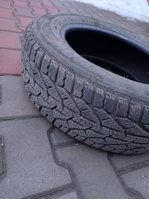 Cauciucuri iarna 195/65 R15