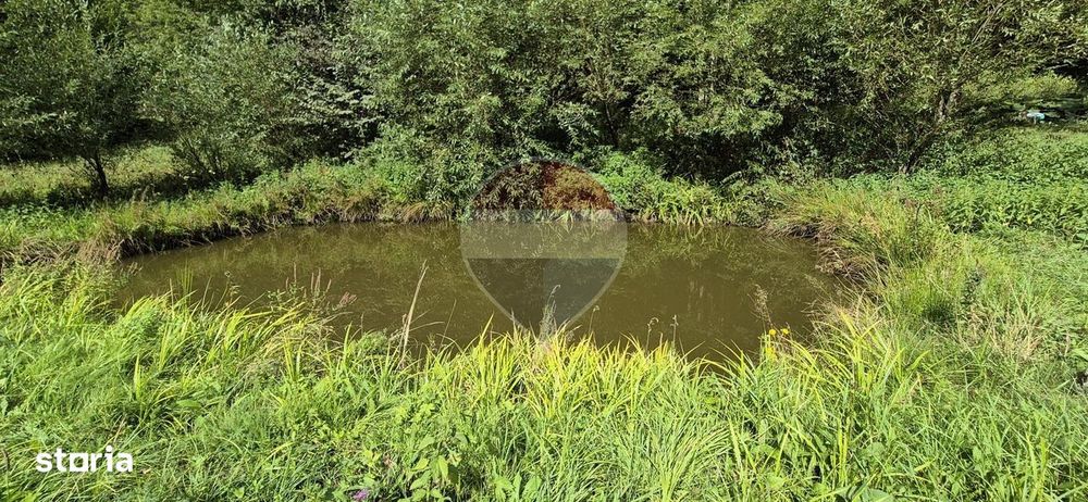 Teren de vis de 2.800 mp pe Valea Tărcăului – Cu lac natural și pădure
