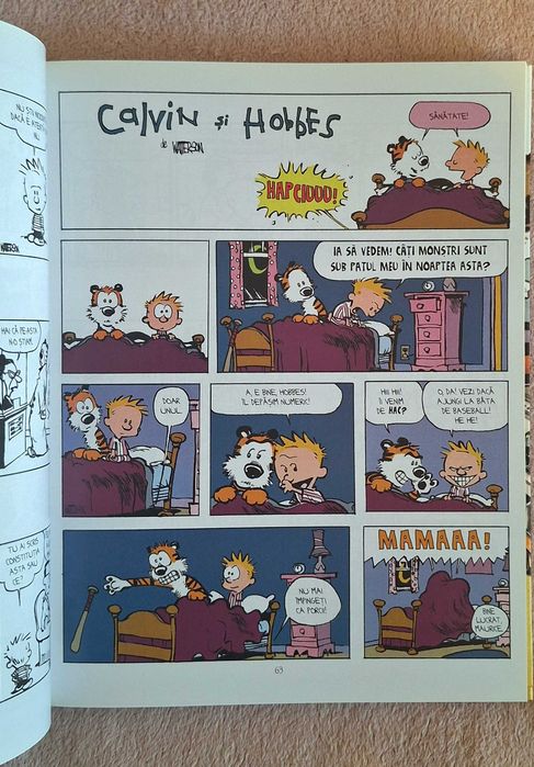 Carte Ilustrata Copii-Calvin&Hobbes
