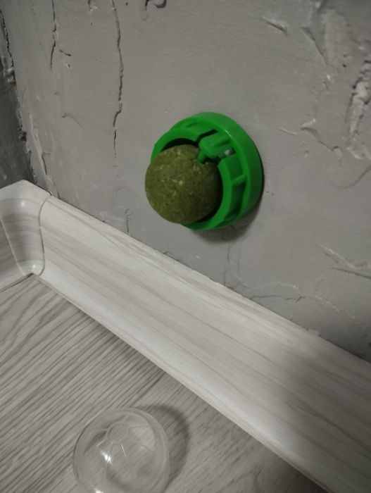 товары для кошек