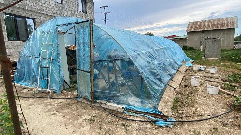 Теплица с металлическим каркасом 6*12