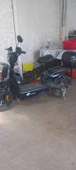 Sukutr sotiladi holati yangi 10 kun minilgan nomi **drongo**