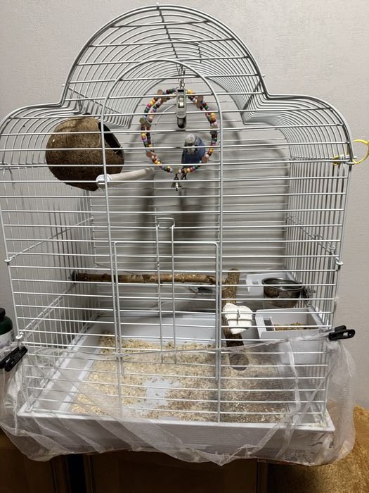 Попугай вместе с клеткой